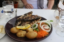 Maritima Rest Sardines